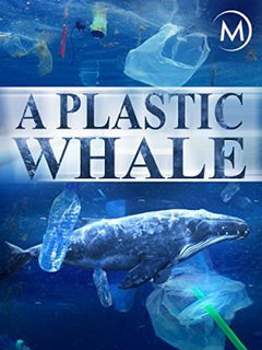A Plastic Whale (2017)