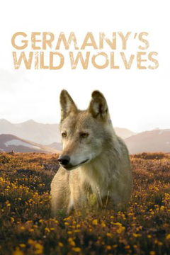 Germany's Wild Wolves - As They Really Are (2019)