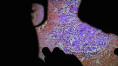 De humani corporis fabrica (2022)