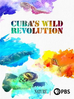 Cuba's Wild Revolution (2020)