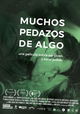 Muchos pedazos de algo