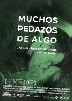 Muchos pedazos de algo (2015)
