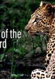 Die Magie des Leoparden