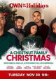 A Chestnut Family Christmas