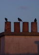 Passe-parole