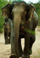 Sri Lanka: Island of Hope