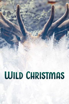 Wild Christmas (2020)
