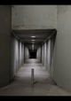 The Tunnel