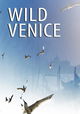 Wildes Venedig