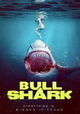 Bull Shark
