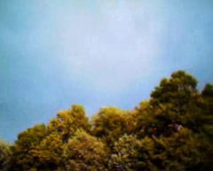 Because We Are Visual (2010)