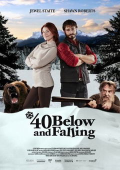 40 Below and Falling (2015)