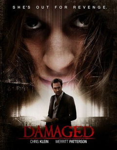 Damaged (2014)