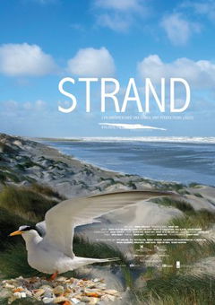 Strand (2023)