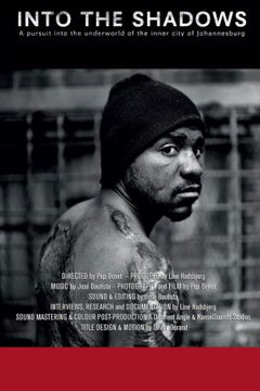 Into the Shadows (2013)