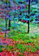 River of Time