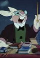 The Foolish Bunny