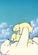The Last Polar Bears