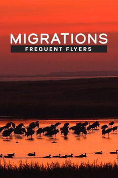 Migrations: Frequent Flyers (2020)