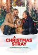 A Christmas Stray