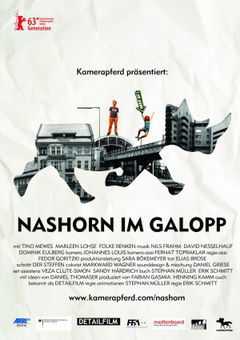 Nashorn im Galopp (2013)