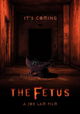 The Fetus