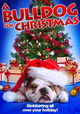 A Bulldog for Christmas