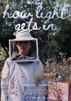 How Light Gets In (2021)