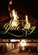 Adult Swim Yule Log