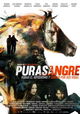Purasangre