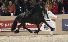 Koning Jasper 366 (2024)