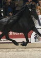 Koning Jasper 366