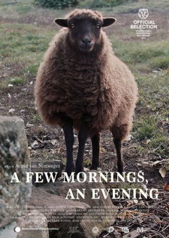 a Few Mornings, an Evening (2024)