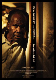 Overnight Flies (2016)