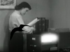Wandering Through Secret Storms (2009)