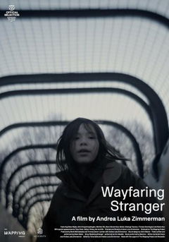 Wayfaring Stranger (2024)
