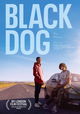 Black Dog
