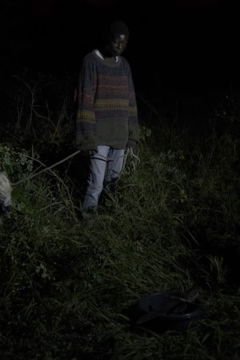 As Noites Ainda Cheiram a Pólvora (2024)