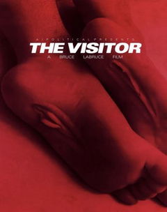 The Visitor (2024)