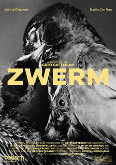 Zwerm (2021)