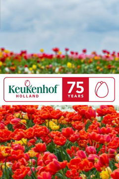 75 Jaar Keukenhof