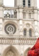 Rebuilding Notre-Dame: The Next Chapter
