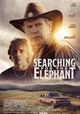 Searching for the Elephant