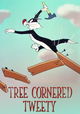 Tree Cornered Tweety