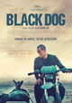 Black Dog