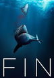 Fin
