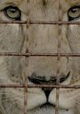Checkpoint Zoo
