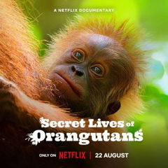 Secret Lives of Orangutans (2024)