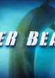 Tiger Beach