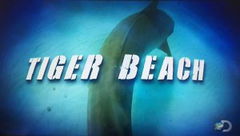 Tiger Beach (2016)